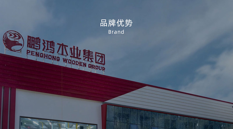 板材品牌、全屋定制品牌、生態(tài)板十大品牌