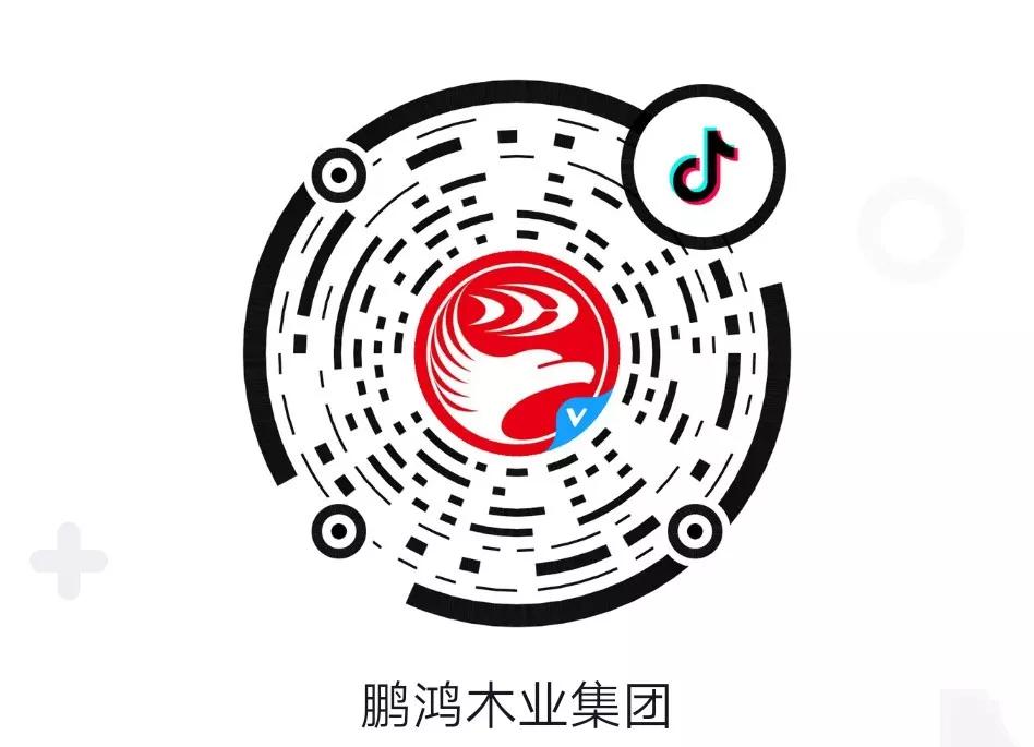 這廂有禮丨這個春節(jié)我最鴻，抖音相伴幸福年